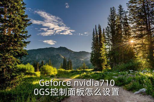 Geforce nvidia7100GS控制面板怎么设置