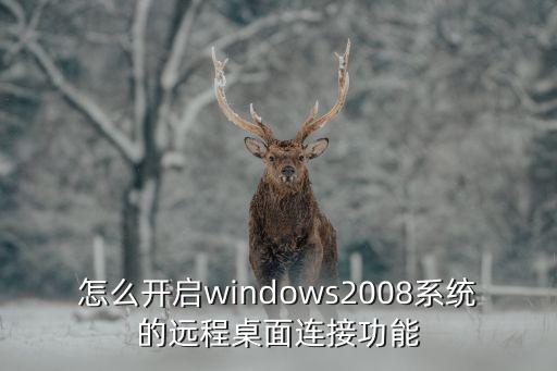 怎么开启windows2008系统的远程桌面连接功能