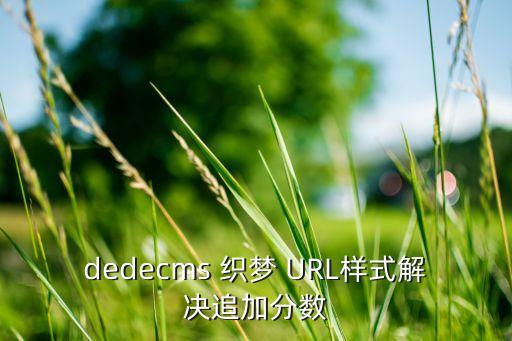 dedecms 织梦 URL样式解决追加分数