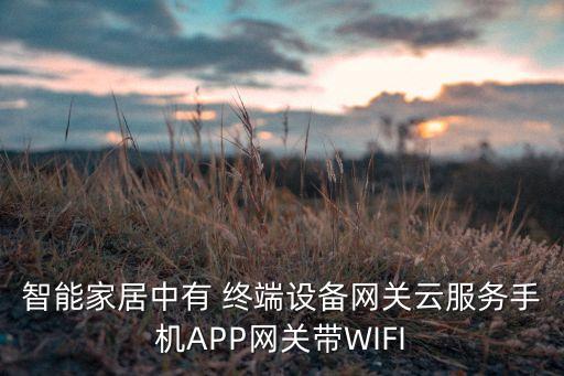 智能家居中有 终端设备网关云服务手机APP网关带WIFI