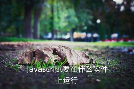  javascript要在什么软件上运行