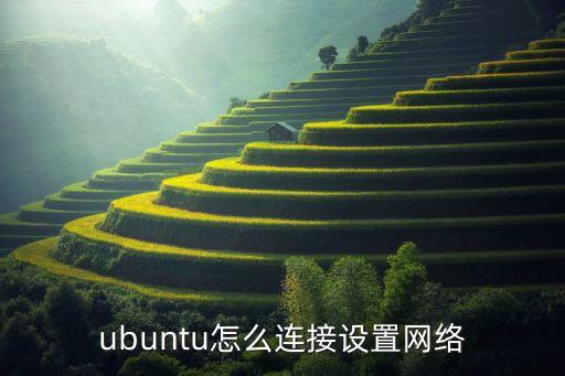 ubuntu怎么连接设置网络