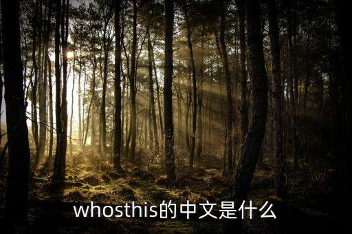 whosthis的中文是什么