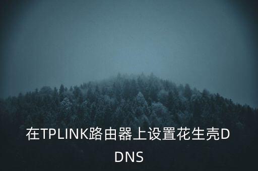 在TPLINK路由器上设置花生壳DDNS