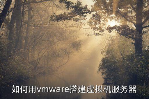 如何用vmware搭建虚拟机服务器