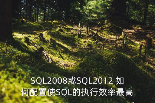 SQL2008或SQL2012 如何配置使SQL的执行效率最高