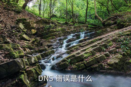 DNS 错误是什么