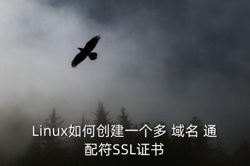 Linux如何创建一个多 域名 通配符SSL证书