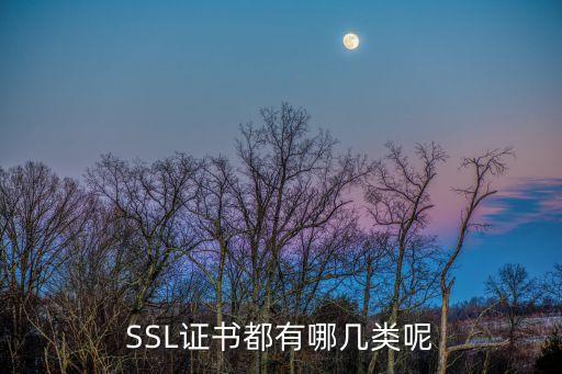 SSL证书都有哪几类呢