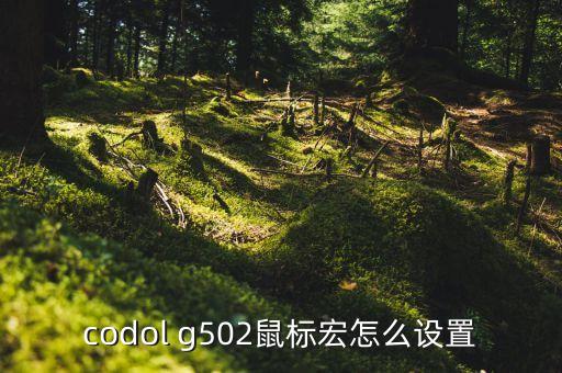 codol g502鼠标宏怎么设置