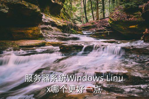 服务器系统Windows Linux哪个更好一点