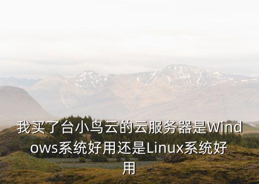 我买了台小鸟云的云服务器是Windows系统好用还是Linux系统好用