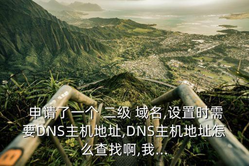  申请了一个 二级 域名,设置时需要DNS主机地址,DNS主机地址怎么查找啊,我...