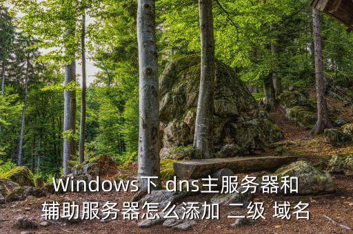 Windows下 dns主服务器和辅助服务器怎么添加 二级 域名
