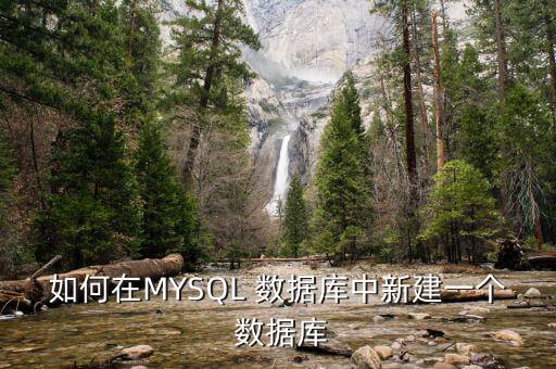 如何在MYSQL 数据库中新建一个 数据库