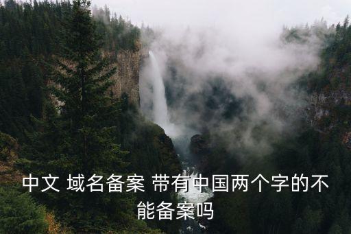 中文 域名备案 带有中国两个字的不能备案吗