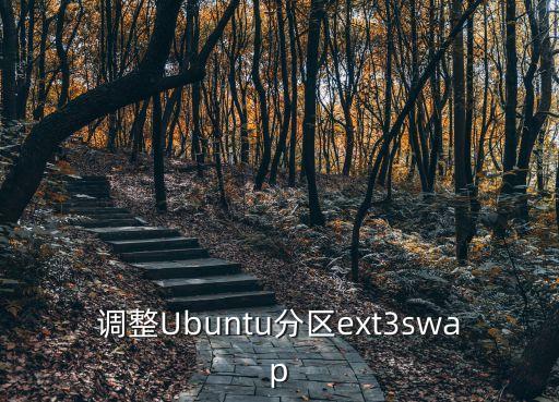 调整Ubuntu分区ext3swap