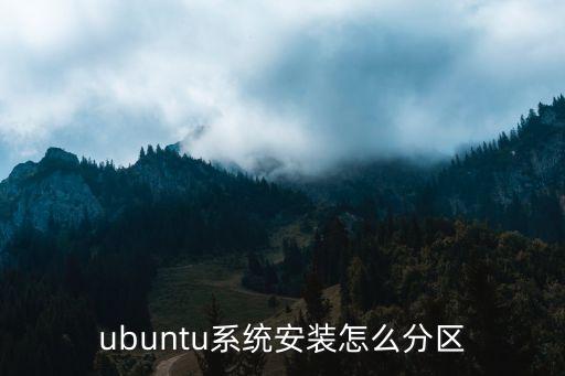 ubuntu系统安装怎么分区