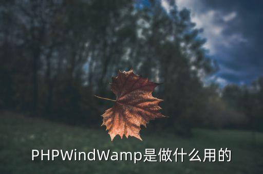 PHPWindWamp是做什么用的