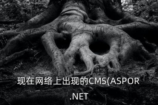 现在网络上出现的CMS(ASPOR.NET