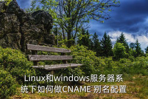 Linux和windows服务器系统下如何做CNAME 别名配置