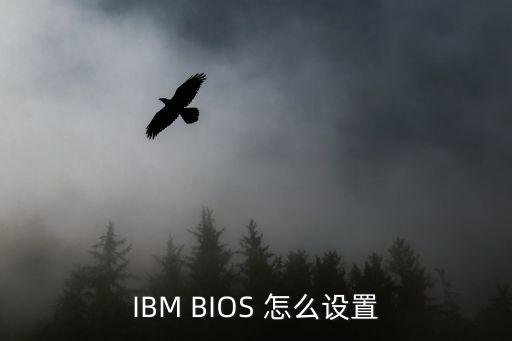 IBM BIOS 怎么设置