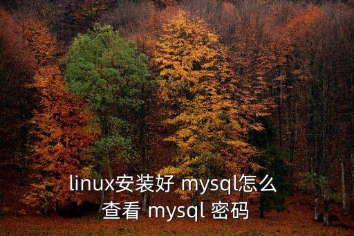 linux安装好 mysql怎么 查看 mysql 密码