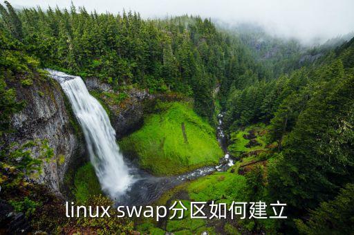 linux swap分区如何建立
