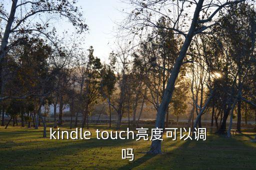 kindle touch亮度可以调吗