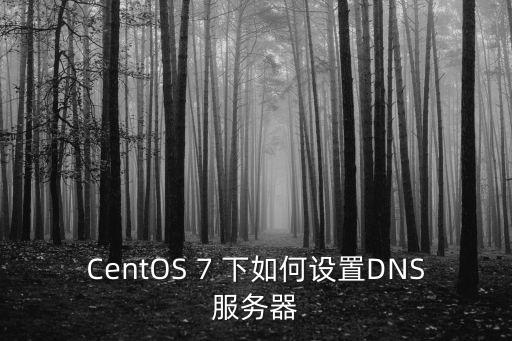 CentOS 7 下如何设置DNS服务器