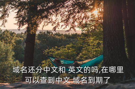 域名还分中文和 英文的吗,在哪里可以查到中文 域名到期了