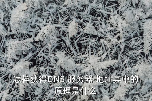 怎样获得DNS 服务器 地址其中的原理是什么