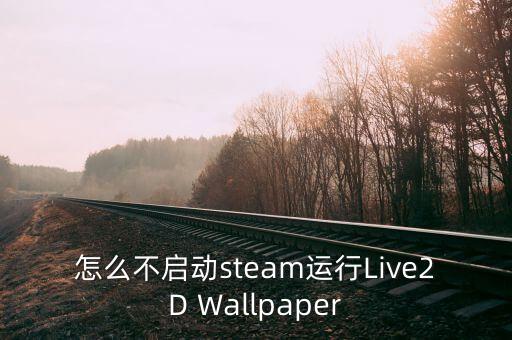 怎么不启动steam运行Live2D Wallpaper