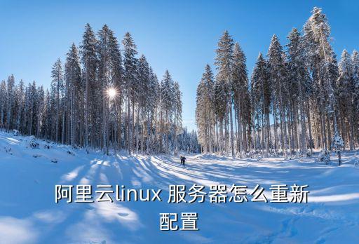  阿里云linux 服务器怎么重新配置