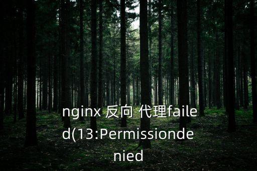  nginx 反向 代理failed(13:Permissiondenied