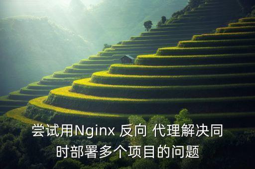 尝试用Nginx 反向 代理解决同时部署多个项目的问题
