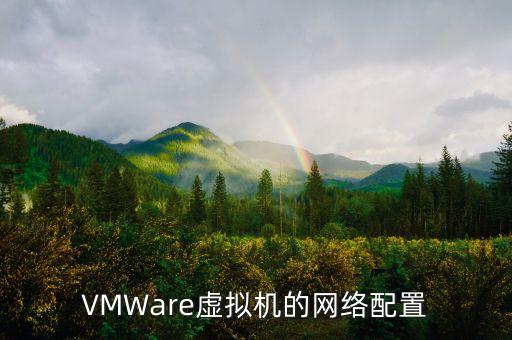 VMWare虚拟机的网络配置