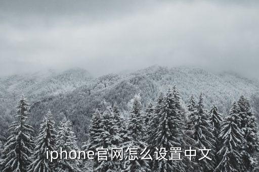 iphone官网怎么设置中文