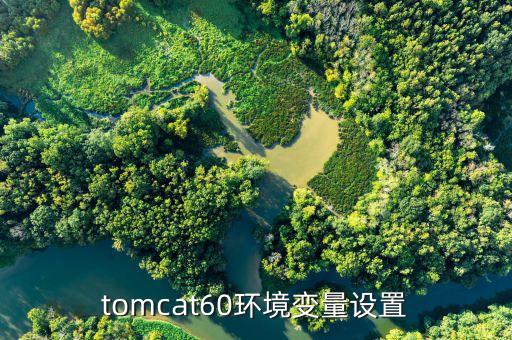 tomcat60环境变量设置