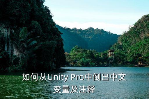 如何从Unity Pro中倒出中文变量及注释