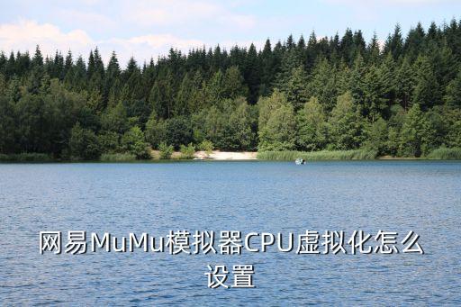 网易MuMu模拟器CPU虚拟化怎么设置