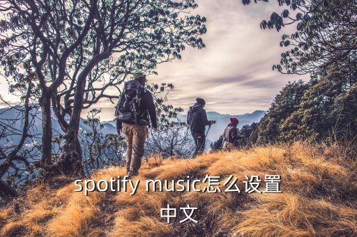 spotify music怎么设置中文