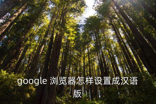 google 浏览器怎样设置成汉语版