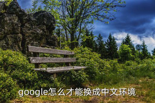google怎么才能换成中文环境