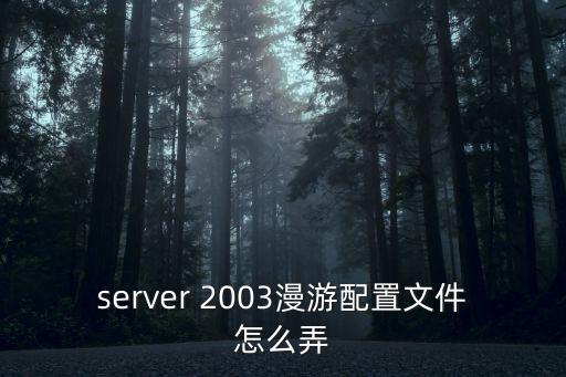 server 2003漫游配置文件怎么弄