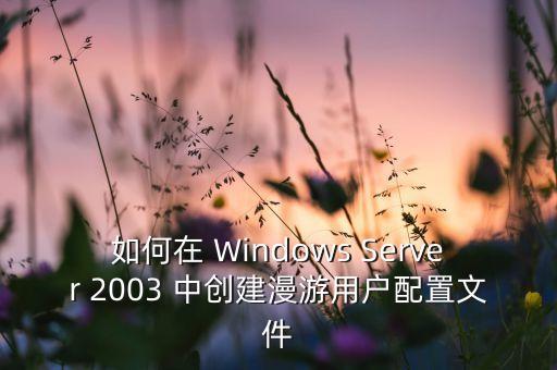 如何在 Windows Server 2003 中创建漫游用户配置文件