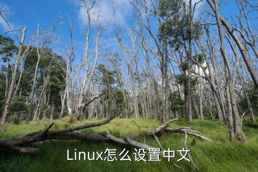 Linux怎么设置中文