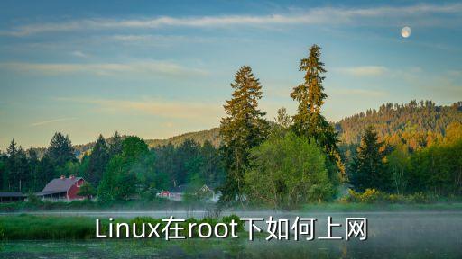 Linux在root下如何上网