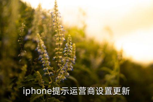 iphone提示运营商设置更新