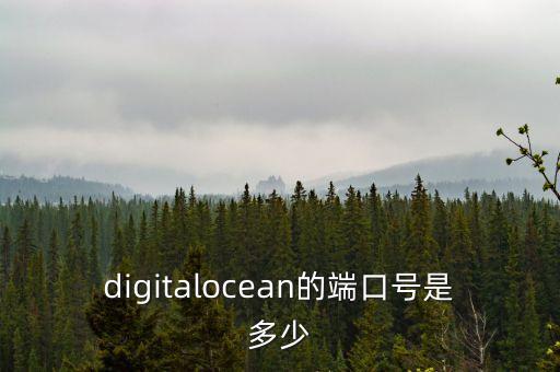 digitalocean的端口号是多少